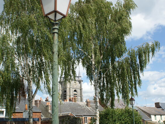 Vue sur la Collégiale