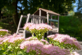 Des espaces extérieurs accueillants