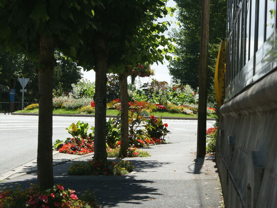 Rue Gossuin