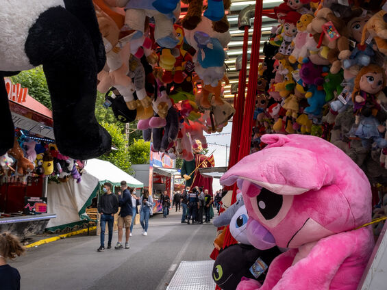 Stand de tir avec des peluches